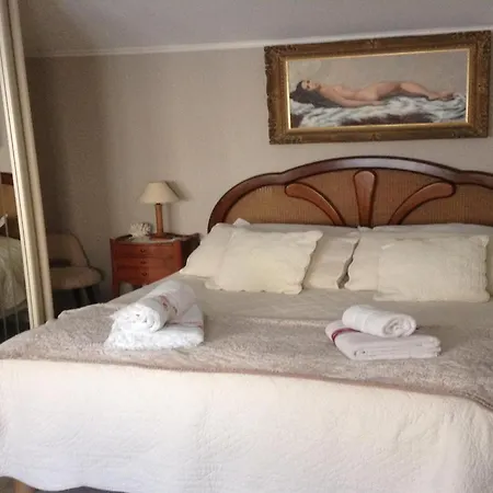 Charming Town Centre House With Garden Dax