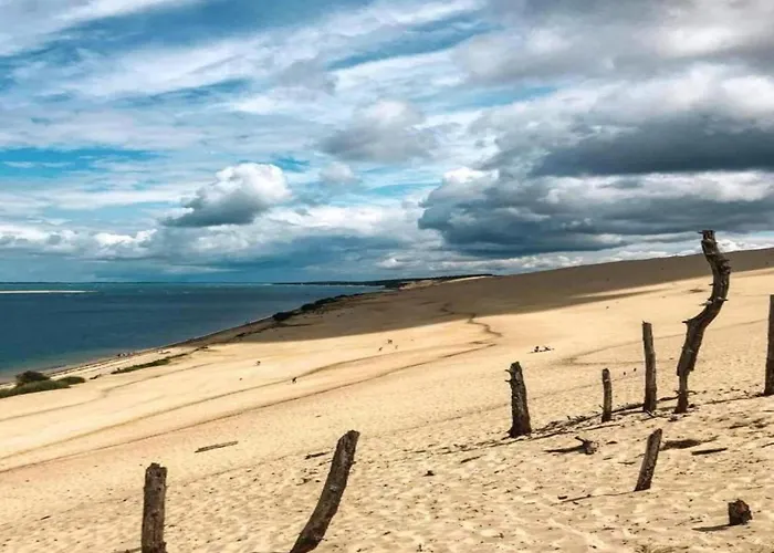 Charming Town Centre House With Garden Tatil Evi Dax