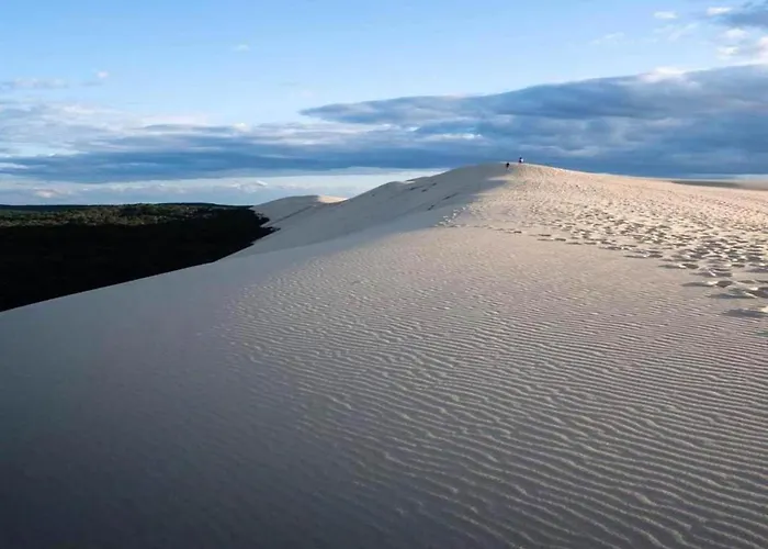 Tatil Evi Charming Town Centre House With Garden *