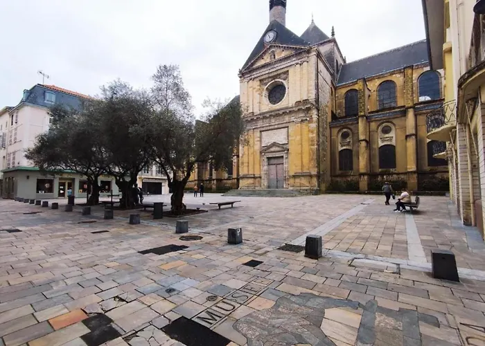 Charming Town Centre House With Garden * Dax